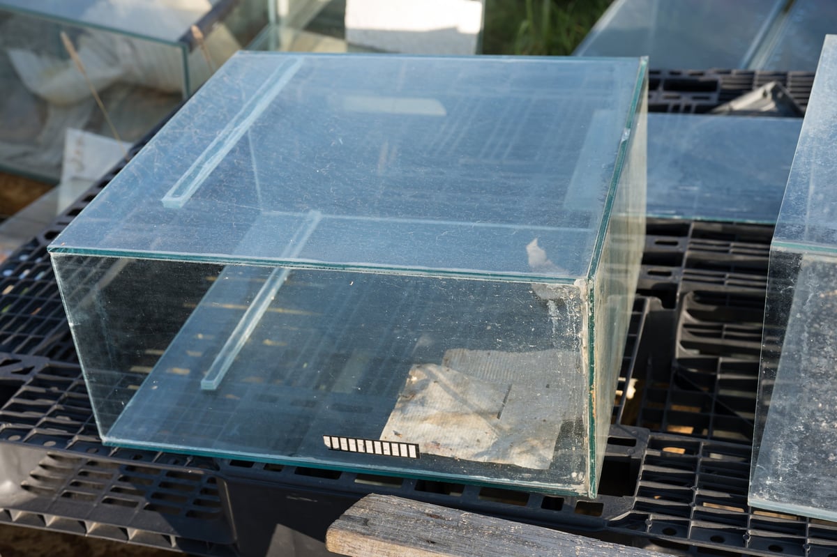 old dirty Glass Tank Aquarium