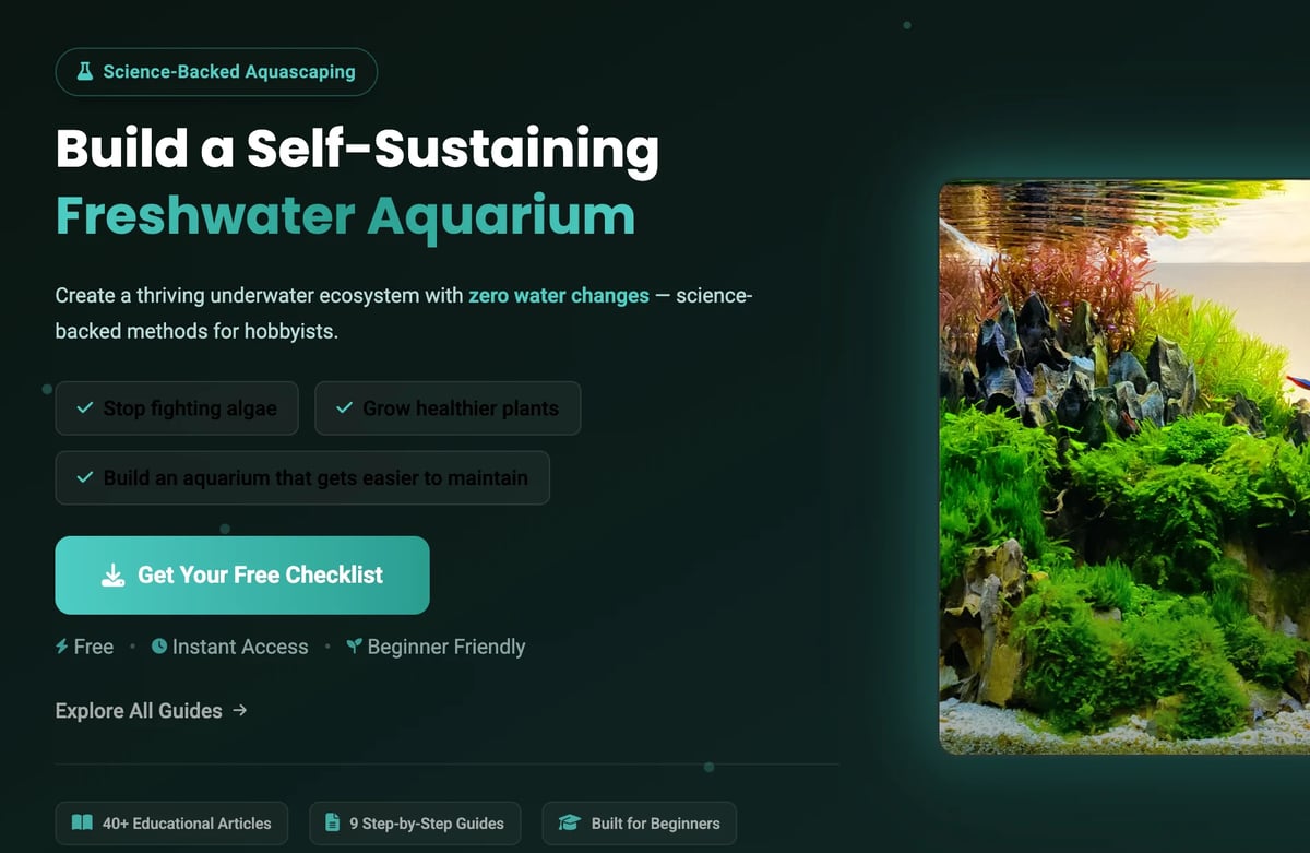 Freshwater aquarium guide webpage showing lush planted tank with green aquatic plants and decorations on right, titled Build a Self-Sustaining Freshwater Aquarium with checklist options on left