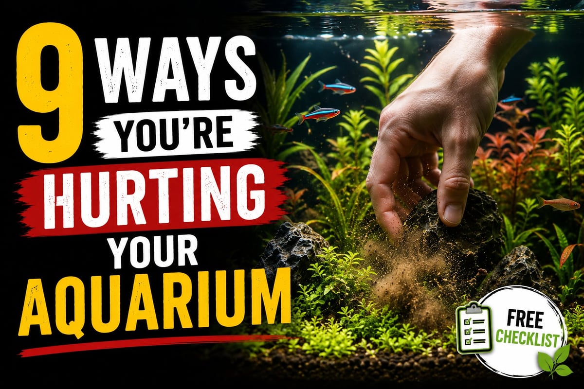 Hand pointing at aquarium plants with text 9 Ways Youre Hurting Your Aquarium and free checklist offer