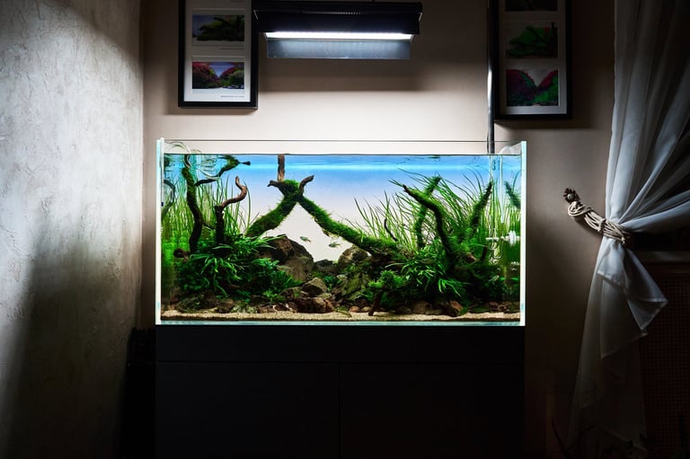Illuminated freshwater aquarium with driftwood, aquatic plants, and blue water backdrop mounted on beige wall in home interior
