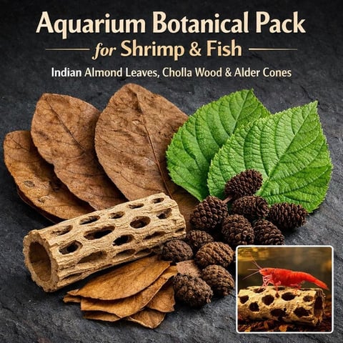 Aquarium Botanical Pack display showing Indian almond leaves, cholla wood, alder cones, and green leaves for shrimp and fish care